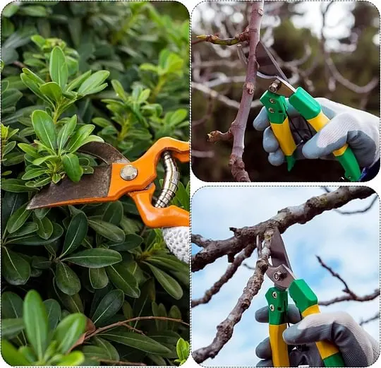 🌿 Blade Sharpener Tool (Buy 1 Get 1 Free)