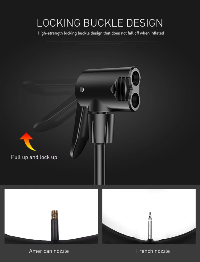 Air pump with pressure gauge